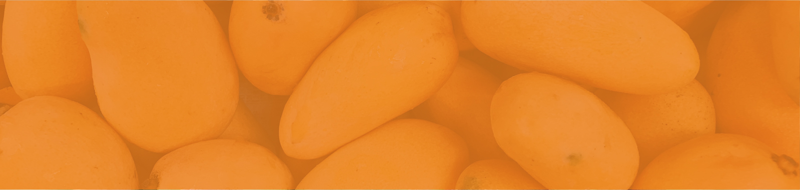mangos